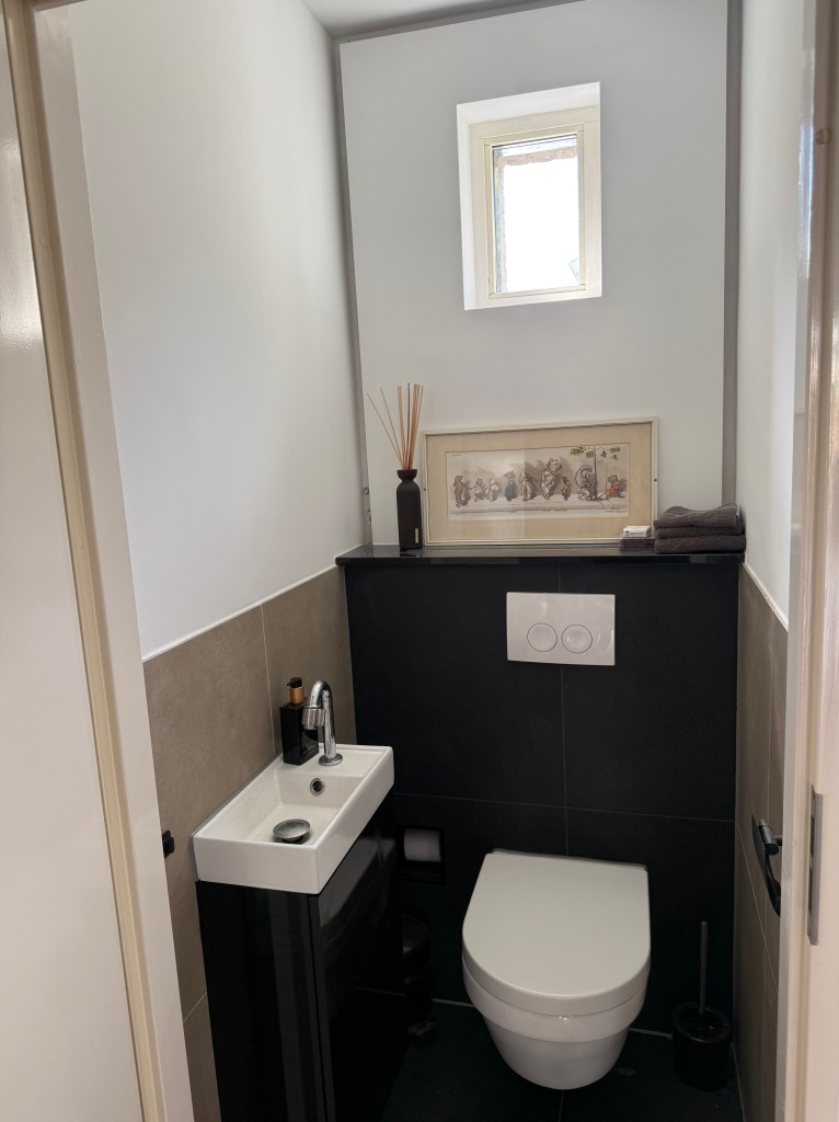 WC renovatie met hangtoilet, wasbak en lichtwand Gouda